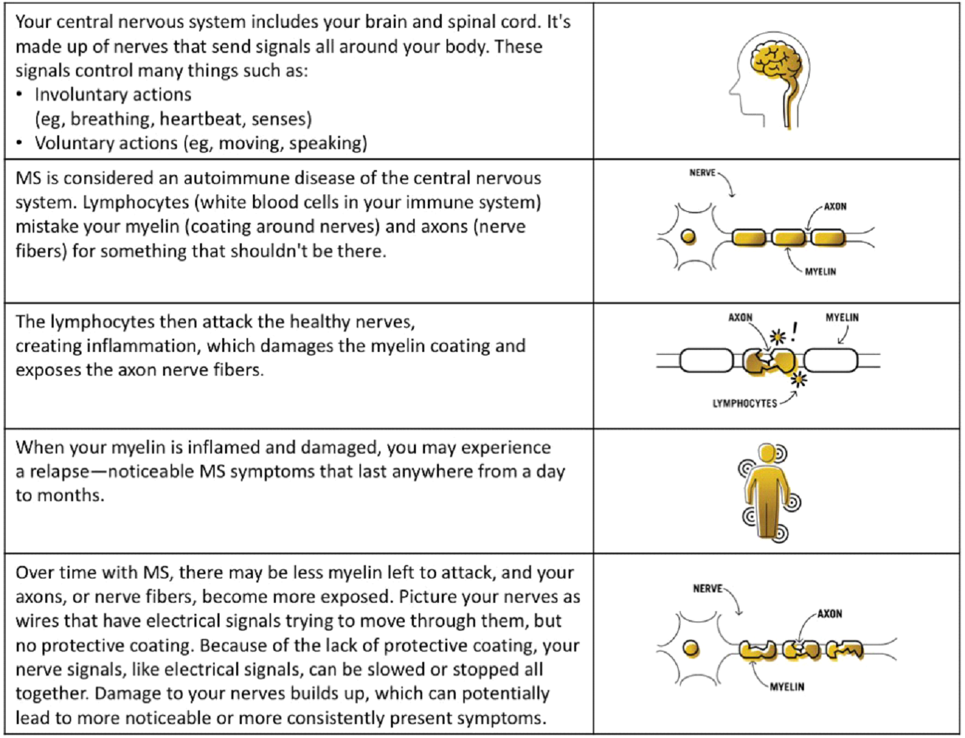 MS progression and symptom changes Living Like You
