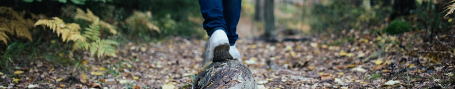 Forest Bathing - resized