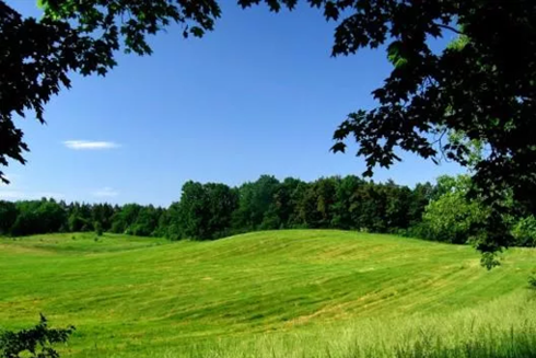 Op  de noodrem voor Corona