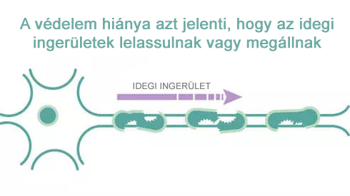 Idegi ingerület lassulás