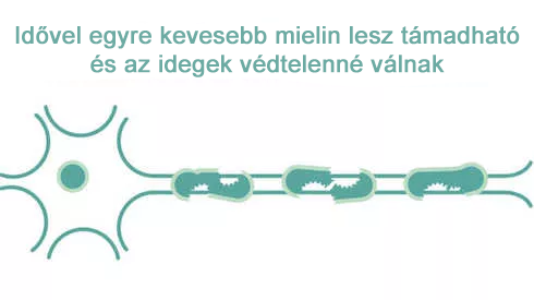 Védtelen idegek