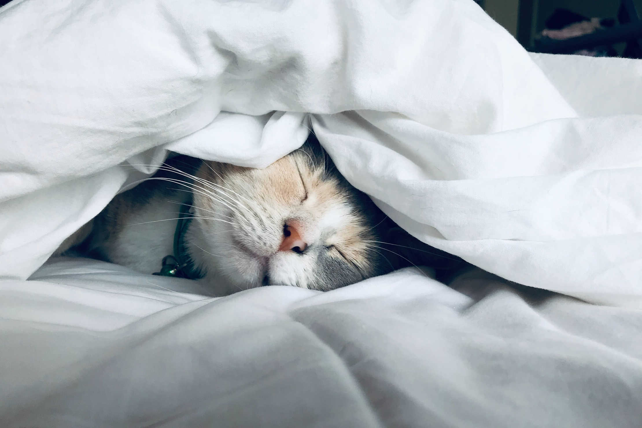 How to keep MS from stealing your Zzzzz
