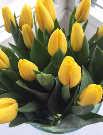 outi tulppannit