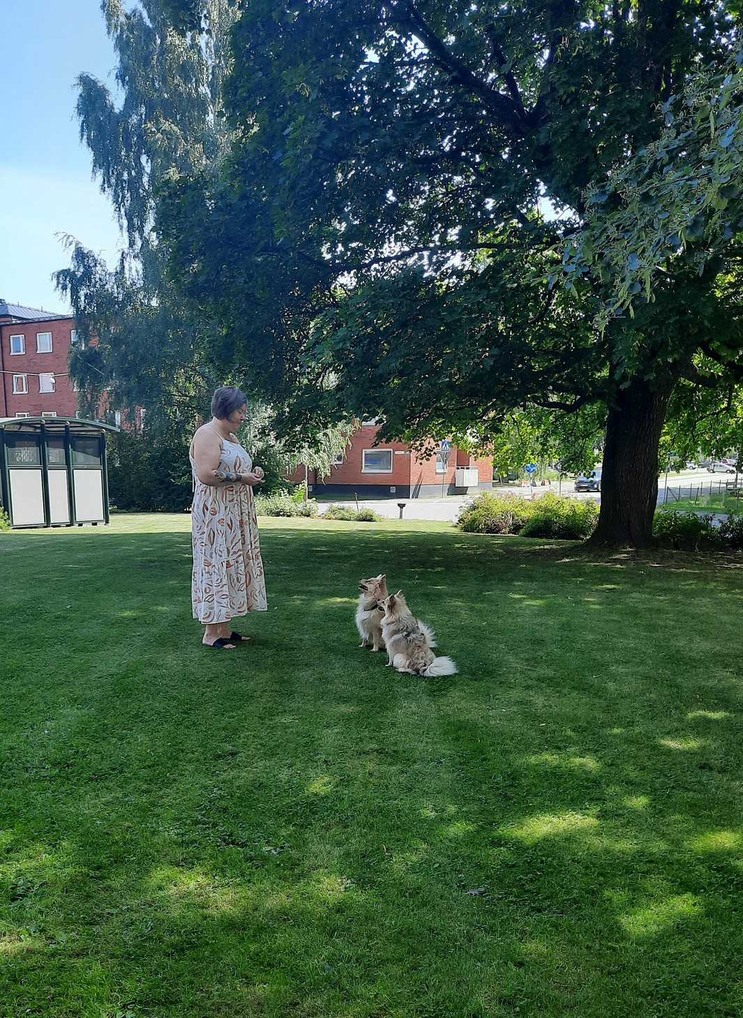 Bild inlägg 1 Caroline