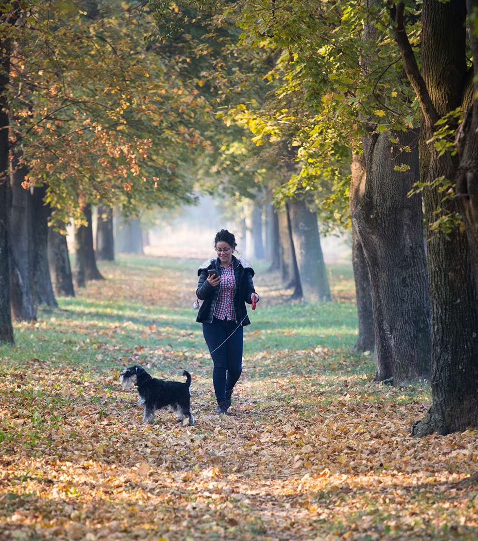 Person som går i parken med en hund.