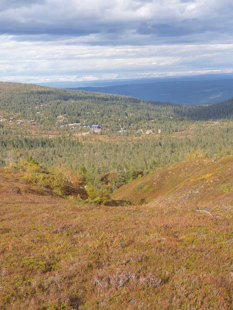 Ett landskap i fjällen.