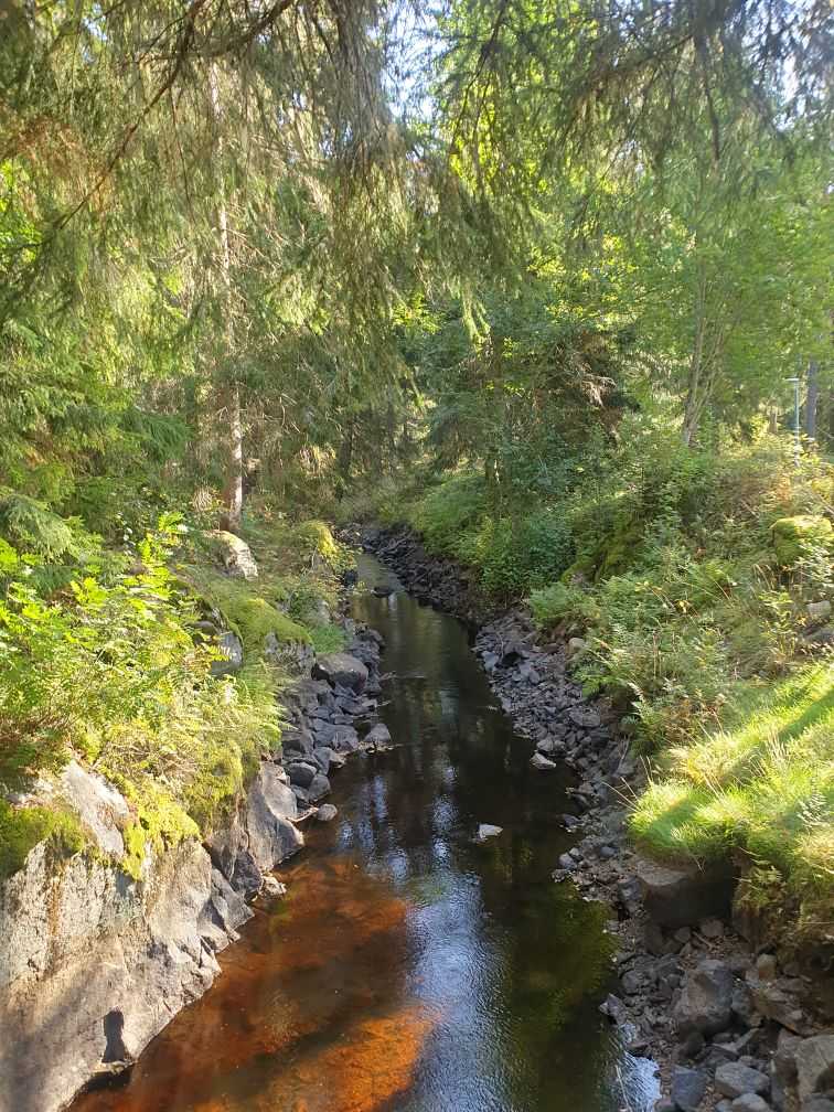 Ett vattendrag i naturen.