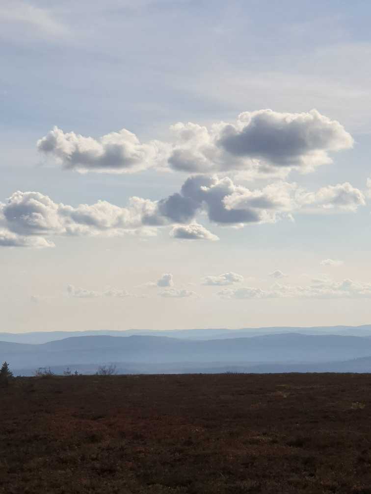 Himmel med moln.