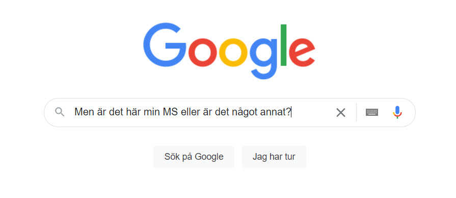 En Google-sökning
