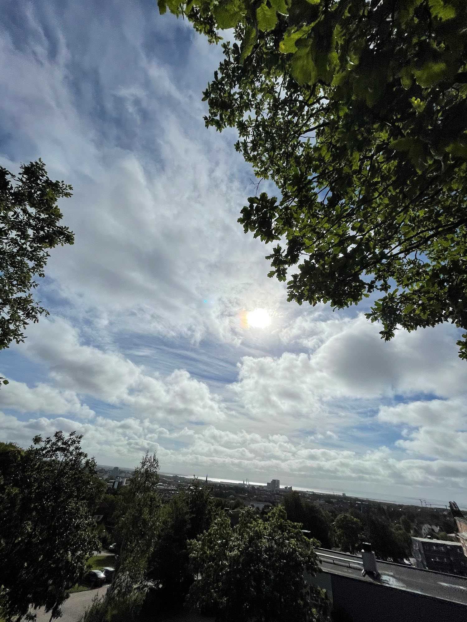En vy med himmel och grönska.