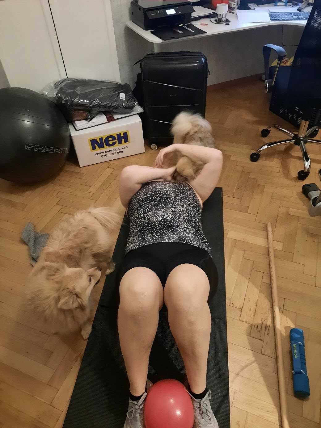 Carro tränar med hundarna som sällskap.