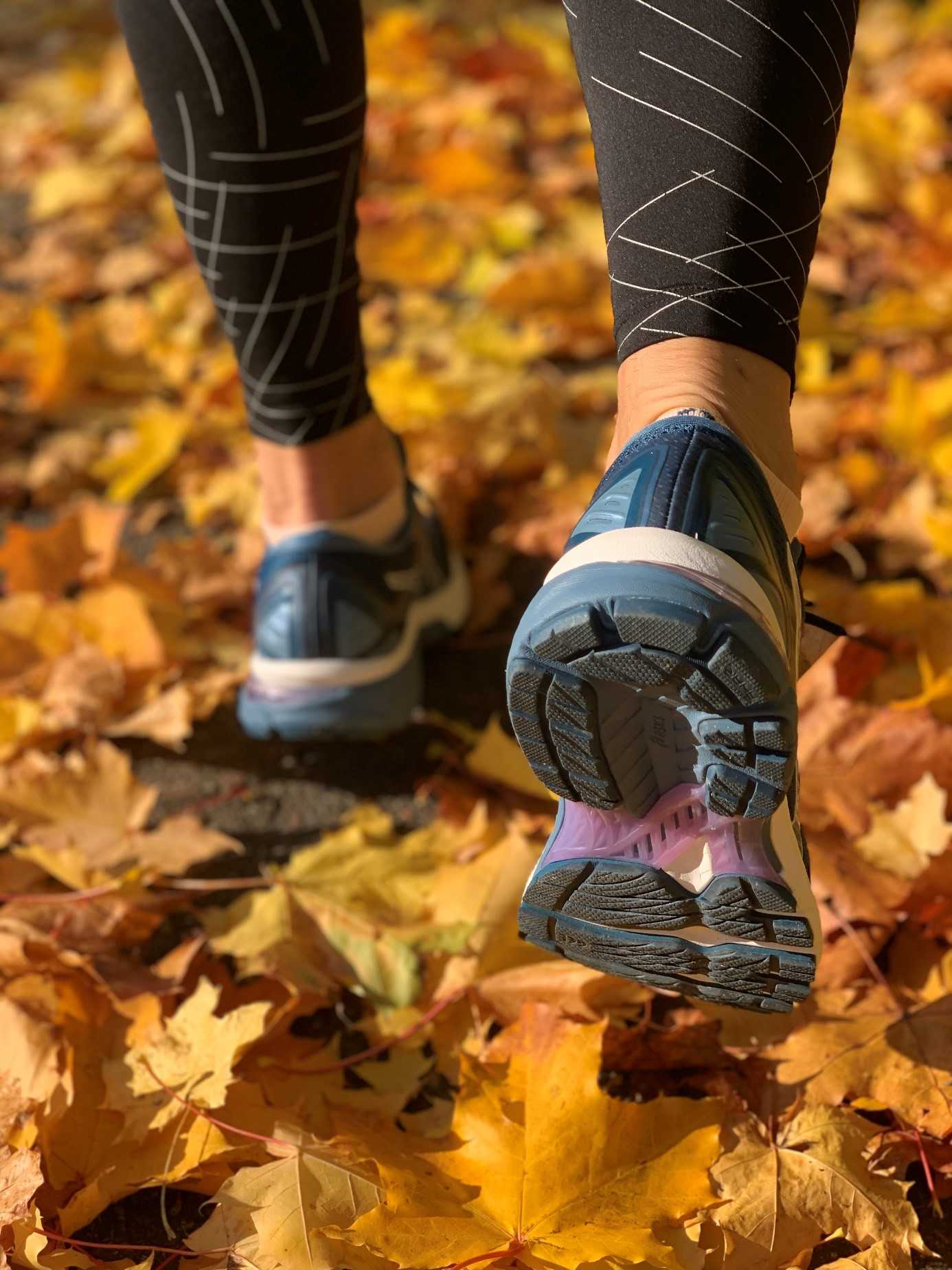 En promenad i skogen.