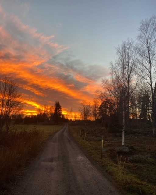 En väg på landet.