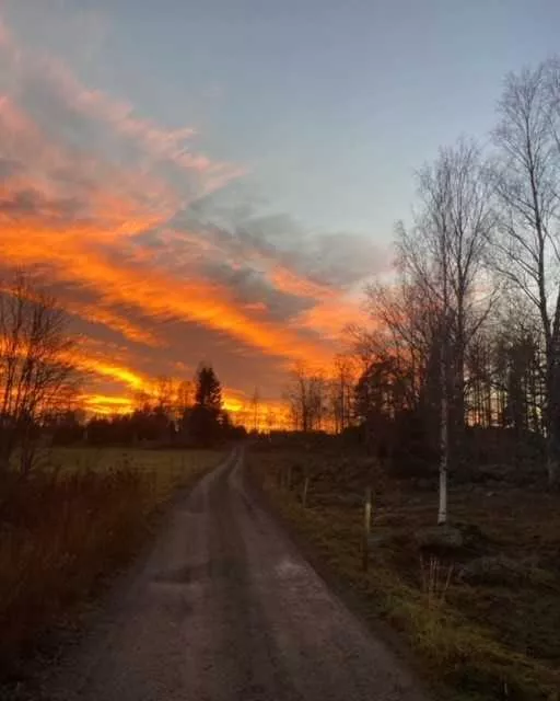 En väg på landet.