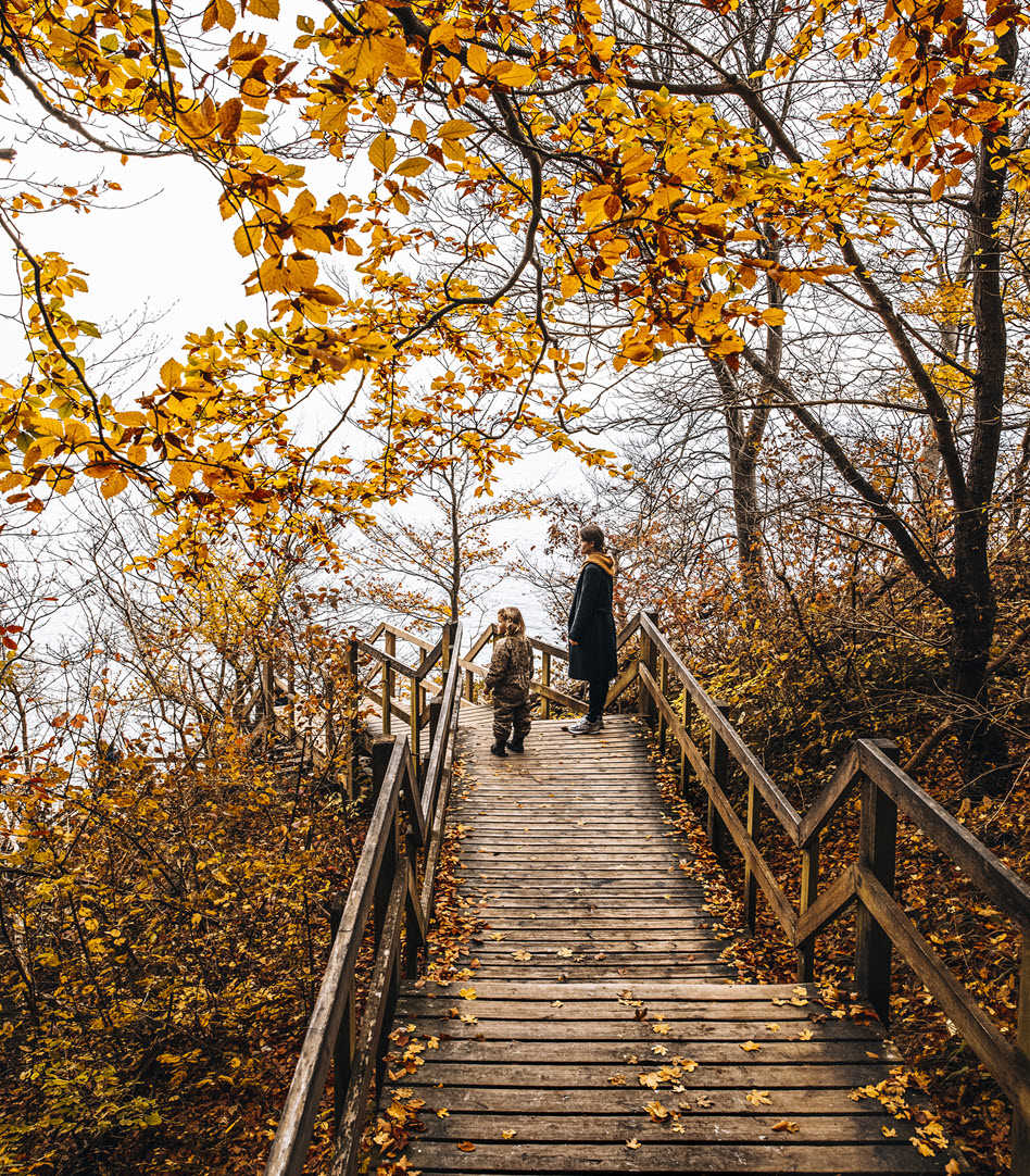 Starkt samband mellan virusinfektion och multipel skleros (MS)