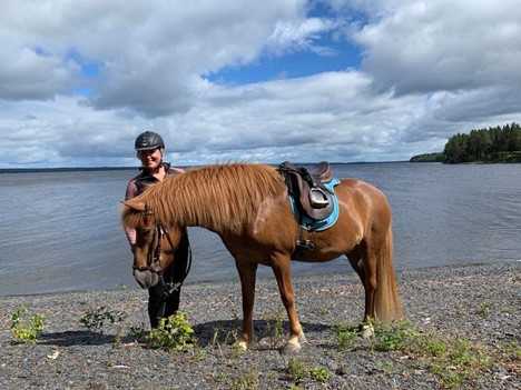 Titti på stranden med en häst.