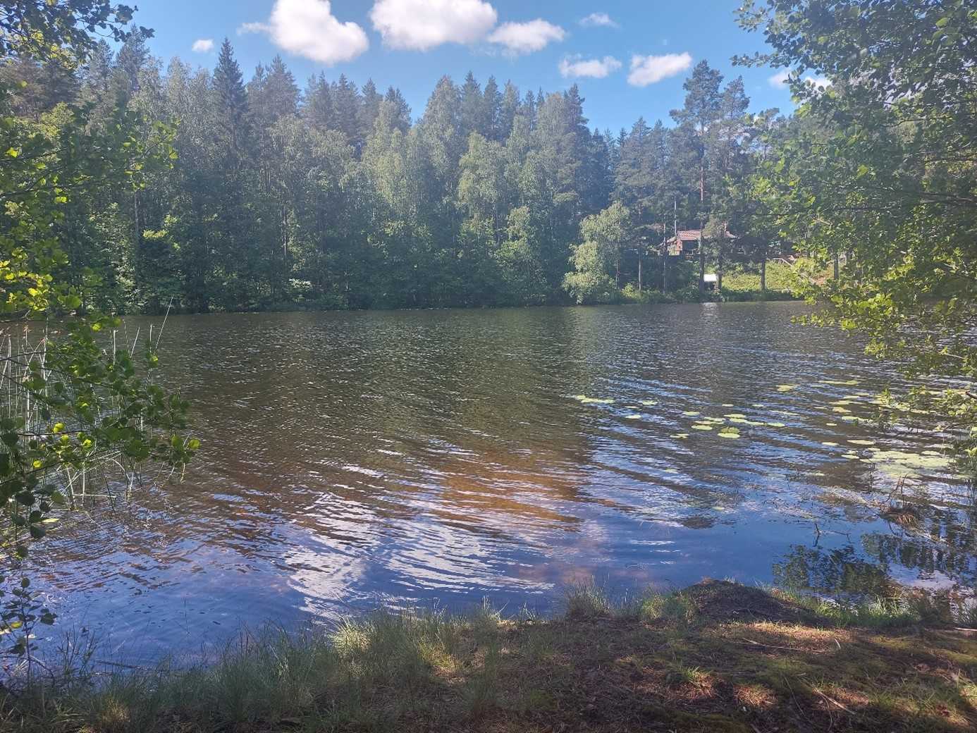 Carro om värme och bostadsanpassning.