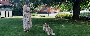 Bild inlägg 1 Caroline Teaser 1