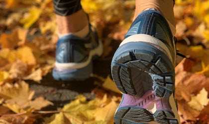 En promenad i skogen.