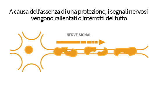 segnali-nervosi