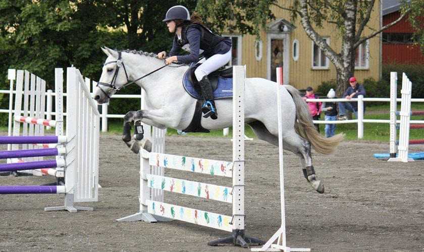 se_lly_carro blog post 4_840x500px